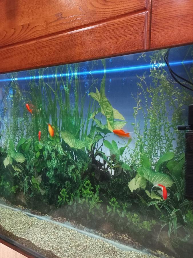 Tatapartment Tbiliszi Kültér fotó